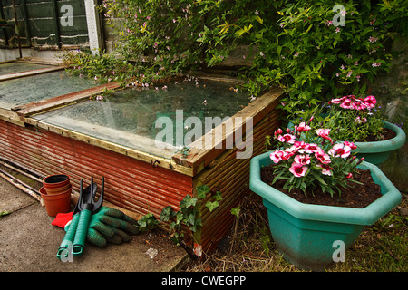 Giardinieri di telaio a freddo in giardino, utilizzati per proteggere le piantine dal gelo durante l'inverno Foto Stock