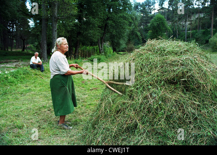 Un contadino donna su un prato di pile di fieno, Bulgaria Foto Stock