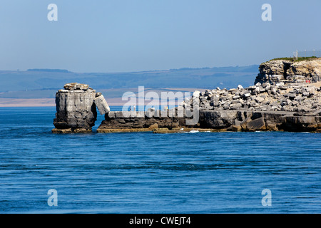 Il pulpito Rock Portland, Purbeck, Dorset, Regno Unito Foto Stock