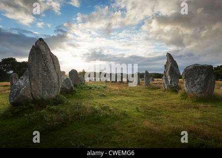 Alignements de Kermario. Les Alignements de Carnac. Carnac. La Bretagna. La Francia. Foto Stock