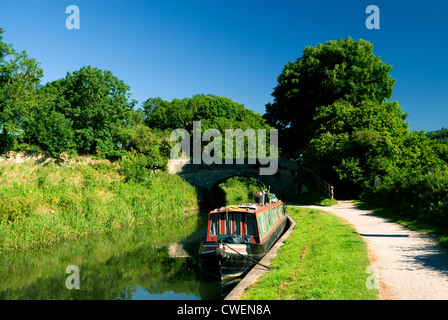 Barche strette su Kennet e Avon Canal, Claverton vicino a Bath, Somerset. Foto Stock