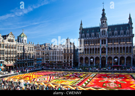 2012 tappeto di fiori, Tapis de fleurs, di fronte alla Maison du Roi,Broodhuis,Museo nella grande piazza di Bruxelles Foto Stock