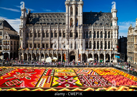 2012 tappeto di fiori, Tapis de fleurs, di fronte alla città (Città) Hall, Stadhuis, la Grand-Place, Grote Markt, Bruxelles Foto Stock