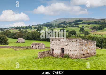 Un tipico fienile in Wensleydale, Yorkshire Dales, Inghilterra. Foto Stock