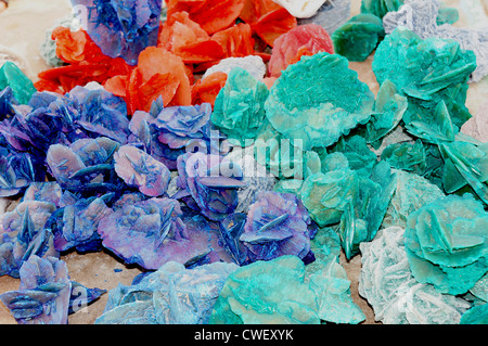 Vista ravvicinata di coloratissimi desert rose del deserto del Sahara Foto Stock