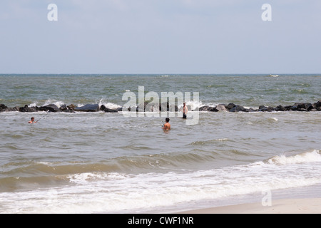 In piedi in un oceano di pesce Foto Stock