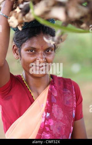 Rurale donna indiana trasportare il legno Andhra Pradesh in India del Sud Foto Stock