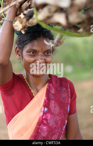 Rurale donna indiana trasportare il legno Andhra Pradesh in India del Sud Foto Stock