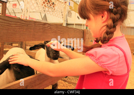 Incontro di ovini, Rockingham County Fair, Harrisonburg, Shenandoah Valley, Virginia, Stati Uniti d'America Foto Stock