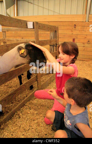 Incontro di ovini, Rockingham County Fair, Harrisonburg, Shenandoah Valley, Virginia, Stati Uniti d'America Foto Stock