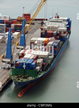 Contenitore nave ormeggiata nel porto di Napier, Nuova Zelanda Foto Stock