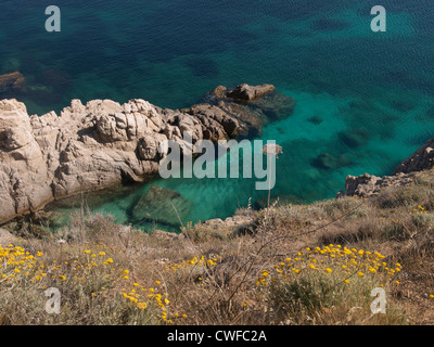 Da una passeggiata costiera vicino a Calvi in Corsica con vedute di arbusti e cespugli blu mare Mediterraneo Foto Stock