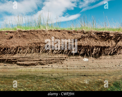 L'immagine orizzontale di un argine in un giorno chiaro che mostra la sezione trasversale della terra Foto Stock