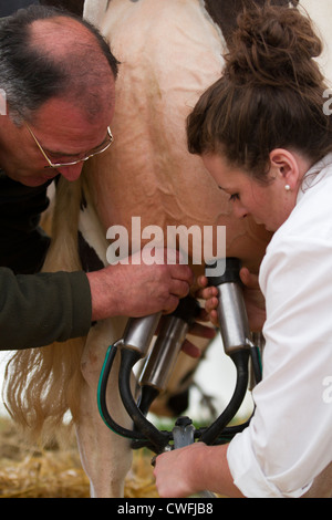 Il novantottesimo Wensleydale spettacolo agricolo, sabato 25 agosto 2012, Leyburn, North Yorkshire, Regno Unito Foto Stock