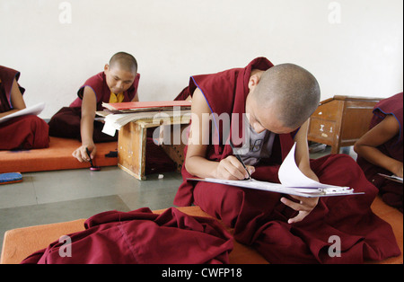 Insegnamento di giovani monaci buddisti nel Drukpa Kagyu Monastero Foto Stock