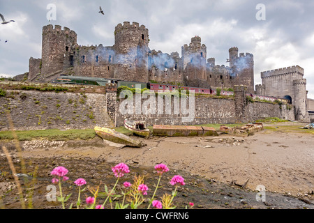 Conwy Castle. Treno a vapore che l'Unione del Sud Africa Foto Stock