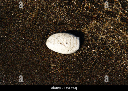 Pietra pomice vulcanica galleggianti in acqua. Questo campione viene dal Lago Taupo zona dell'Isola del nord della Nuova Zelanda Foto Stock