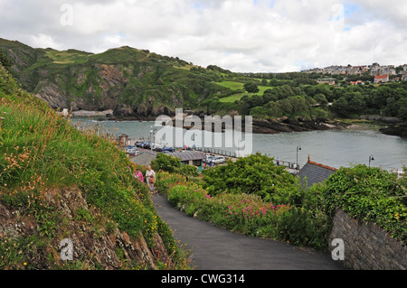 Il porto esterno, Ilfracombe, dalla collina di Lanterna Foto Stock