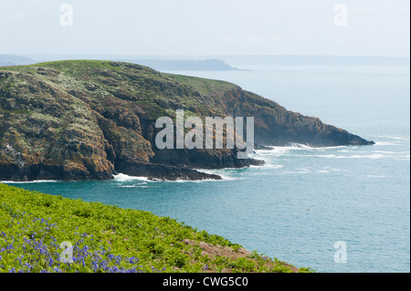 Vista lungo la costa di Skomer verso il collo Foto Stock