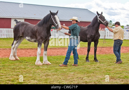 Provinciale Match di aratura e corteo & Fiera Agricola, Dundas, PEI Foto Stock