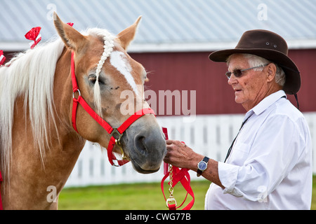 Progetto di horse show all'aratura provinciale corrispondono e corteo & Fiera Agricola, Dundas, PEI. Foto Stock