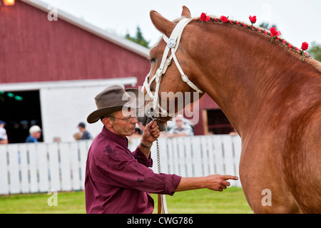 Progetto di horse show all'aratura provinciale corrispondono e corteo & Fiera Agricola, Dundas, PEI. Foto Stock