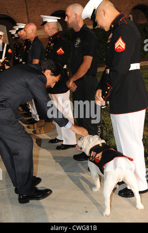 Attore Joe Mantegna animali domestici la mascotte di noi caserma marini Washington Cpl. Chesty XIII dopo la sfilata presso la caserma Giugno 3, 2012 a Washington D.C. La caserma ha una sfilata serale ogni venerdì durante i mesi estivi. Foto Stock