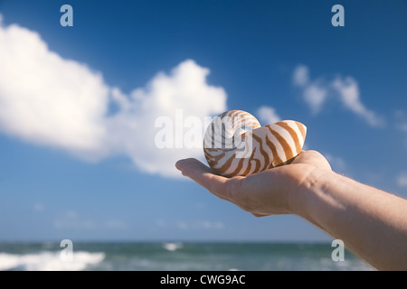 Man mano azienda nautilus guscio contro le onde del mare, shallow dof Foto Stock