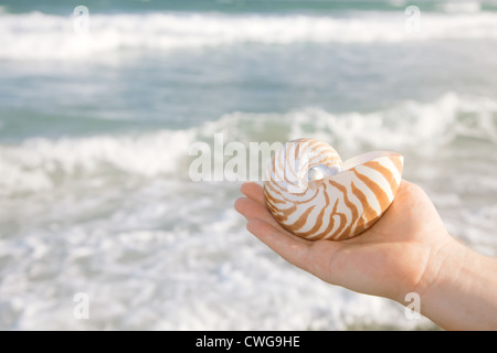 Man mano azienda nautilus guscio contro le onde del mare, shallow dof Foto Stock