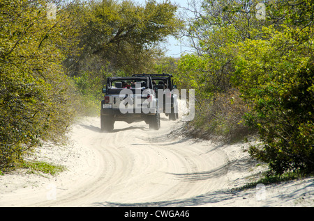 I veicoli a trazione integrale di guida su strada di sabbia sul Outer Banks, Carolina del Nord Foto Stock