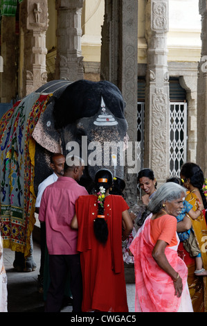 La benedizione di Elephant nel Tempio di Madurai a Madurai, India. Per due rupie l'elefante vi benedica con la sua linea. Foto Stock