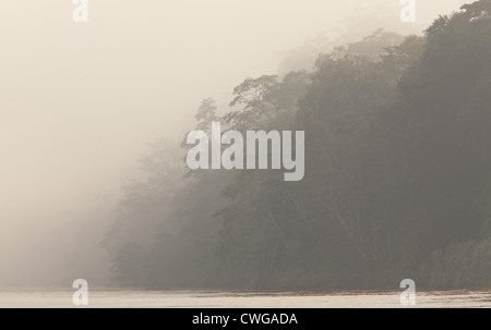 Early Morning mist sul fiume Kinabatangan, Sabah, Malaysia Foto Stock