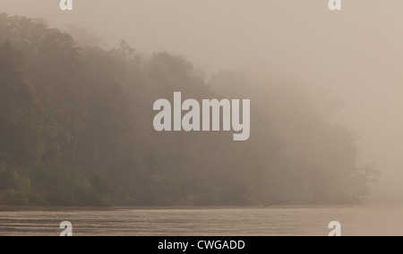 Early Morning mist sul fiume Kinabatangan, Sabah, Malaysia Foto Stock