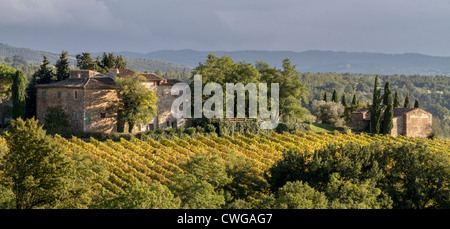Tipico paesaggio toscano che mostra vecchi edifici in pietra, vigneti e cipressi nella tarda sera sun. Foto Stock