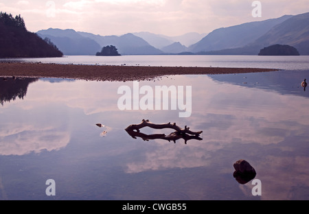 Riflessioni sulla Derwentwater, Lake District, Cumbria, Regno Unito Inghilterra, su una calma e giornata nebuloso. Foto Stock