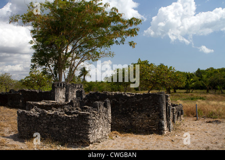 Rovine del XIII secolo periodo Shiraz moschea a Kaole, Bagamoyo, Tanzania Foto Stock