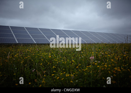 Westmill Farm solare Watchfield vicino a Swindon. Westmill è uno del più grande del Regno Unito fattorie solari. Foto Stock