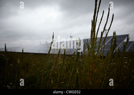 Westmill Farm solare Watchfield vicino a Swindon. Westmill è uno del più grande del Regno Unito fattorie solari. Foto Stock