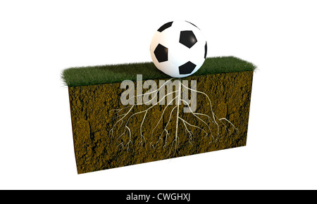 Pallone da calcio con grosse radici su un campo di calcio la sezione Foto Stock