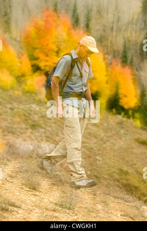 Un uomo escursionismo passato yellow aspen alberi su Molas Pass, San Juan National Forest, Silverton, Colorado (doppia esposizione). Foto Stock