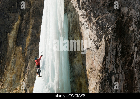 Un uomo di arrampicata su ghiaccio una cascata ghiacciata, Silverton, Colorado. Foto Stock