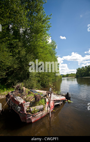 Il relitto di un auto nel fiume Allier (Allier - Auvergne - Francia) Épave de voiture dans la rivière Allier (Auvergne - Francia). Foto Stock