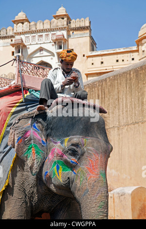 Mahout decorate di equitazione elefante indiano per il trasporto di turisti in Forte Amer / Ambra Fort vicino a Jaipur, Rajasthan, India Foto Stock