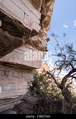 Petroglyph sulle scogliere a hot springs trail, parco nazionale di Big Bend, Texas. Foto Stock