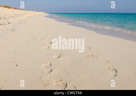 Orme orme di sabbia sulla spiaggia a Sol Cayo Santa Maria Resort, Cayo Santa Maria, Cuba. Foto Stock