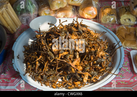 Chiudere orizzontale di profonda rane fritte e cotto produrre in vendita su un mercato in stallo in Cambogia Foto Stock