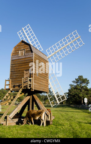 Storico mulino e bestiame in Fattoria Isola museo vivente di storia circa 1847 Manteo, Isola Roanoke, North Carolina Outer Banks Foto Stock