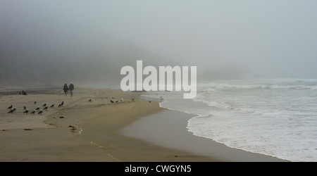 Un giovane a piedi lungo foggy McClure's Beach nel punto Reyes National Seashore in California. Foto Stock