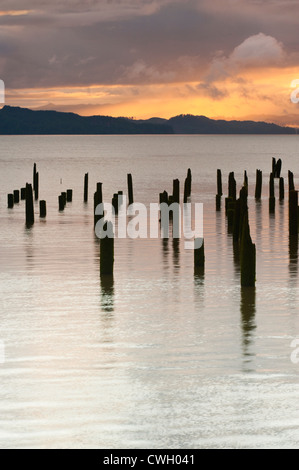 Palificazioni lungo Astoria lungomare sul Columbia River, Astoria, Oregon, Stati Uniti d'America Foto Stock