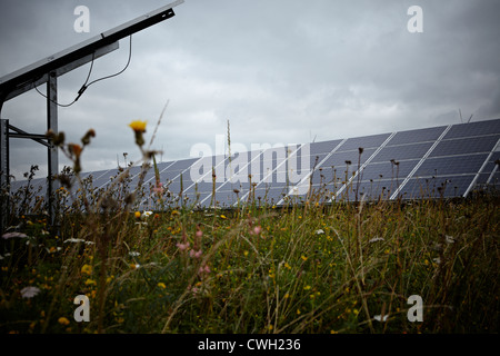 Westmill Farm solare Watchfield vicino a Swindon. Westmill è uno del più grande del Regno Unito fattorie solari. Foto Stock